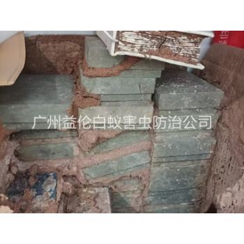白云区防治白蚁危害工程